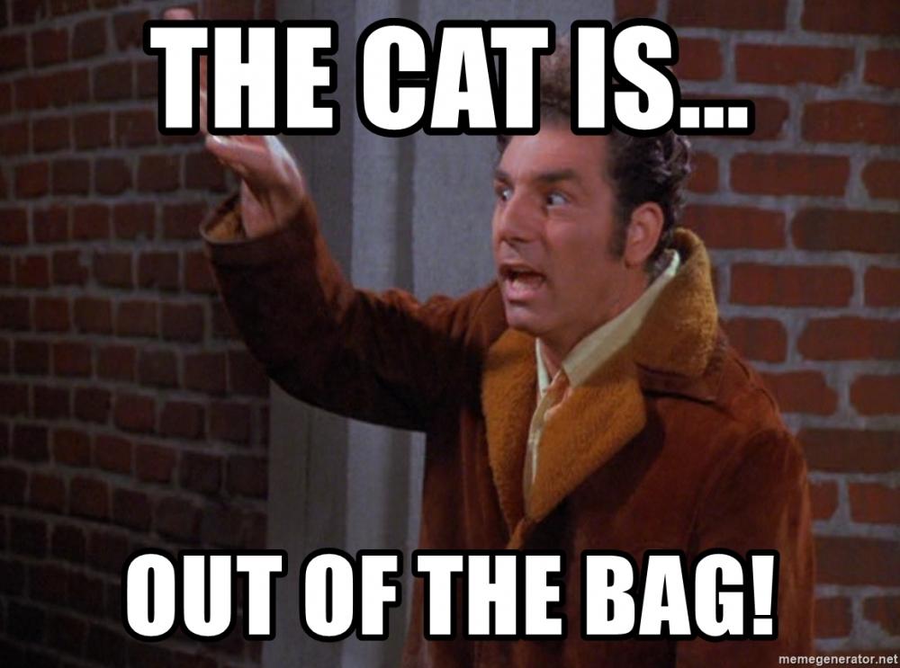 the-cat-is-out-of-the-bag.jpg
