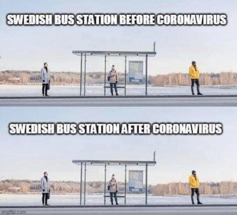 sweden.jpg