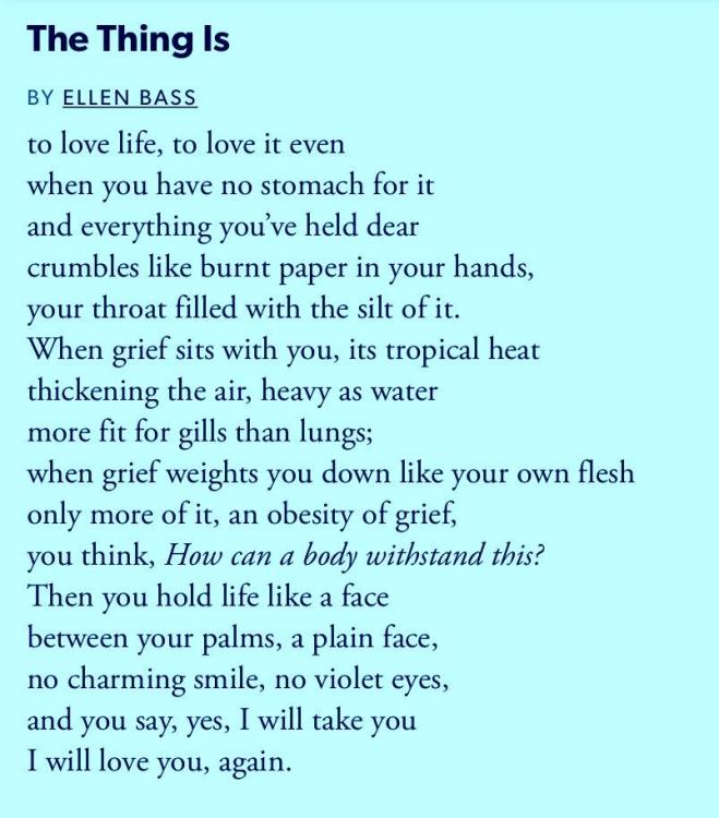 FU5KJvPWAAAeVo7 (1).jpg