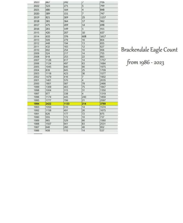 Eagle time in Alazska.jpg