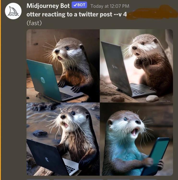 Otter on Social Media.jpg
