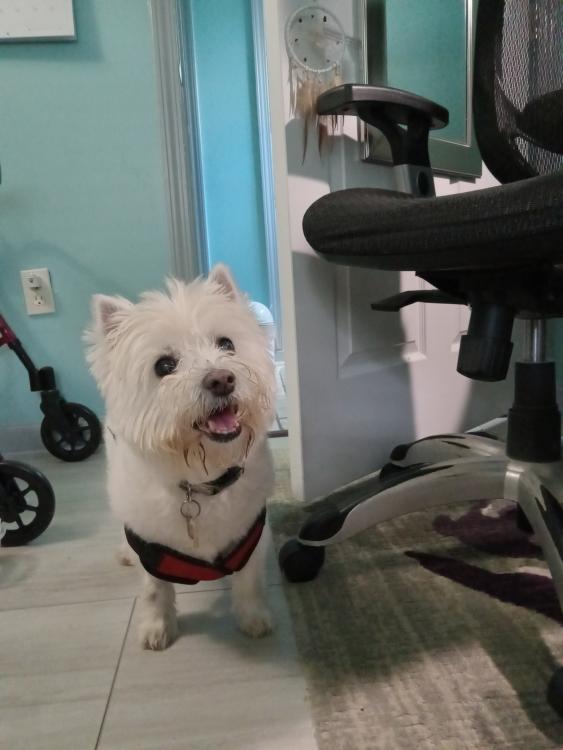 Ruby 8-4-24 B half.jpg