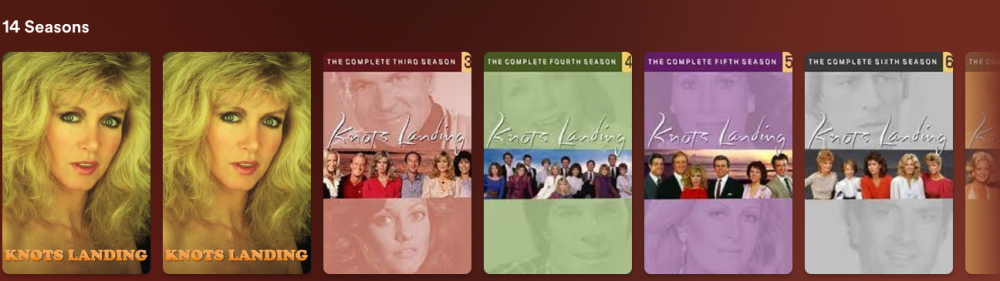 Screenshot 2024-08-29 9.57.26 AM.png