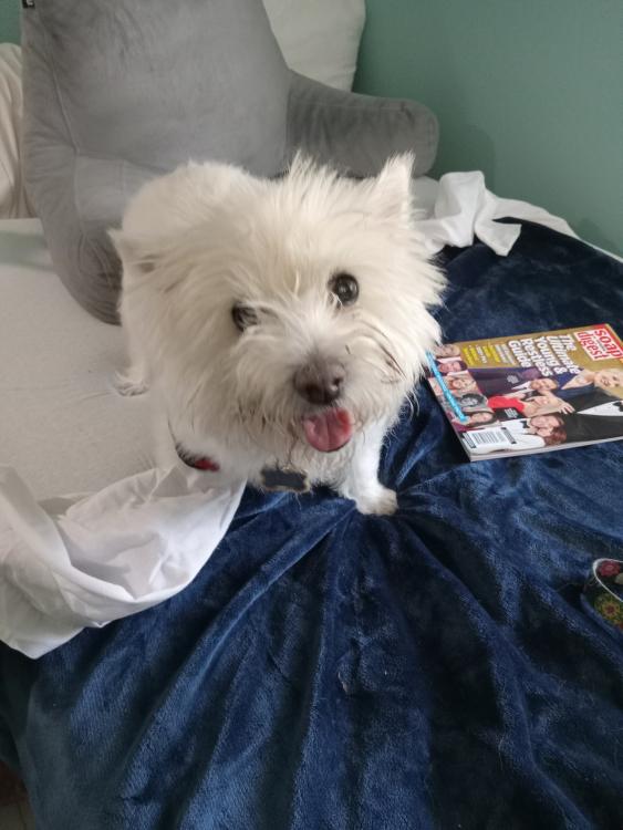 Ruby 9-21-24 by half.jpg