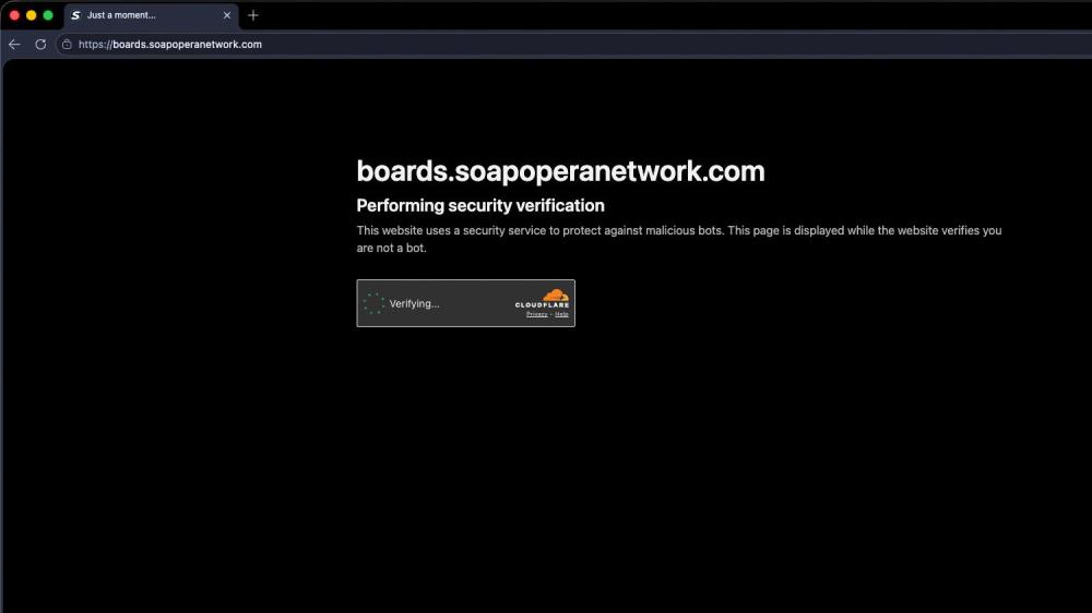 SON Community Securty Verification copy.jpg